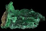 Vibrant Fibrous Malachite Cluster - Congo #81750-2